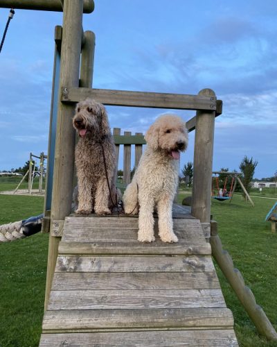 2FB3D857-AA2E-4F99-9704-DF49DDAEC14F-scaled