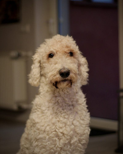 C74B87FD-ED99-4DFB-9E56-C258CE46CF6B_1_201_a-scaled