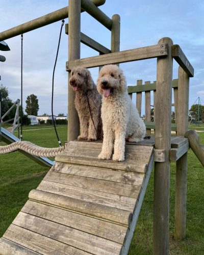 D9B62B0A-1D85-4BD2-92A6-3C61FD10D0CF-scaled